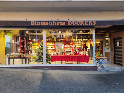 Blumen Dückers