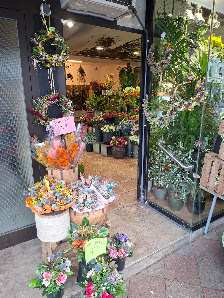Blumen Creativ