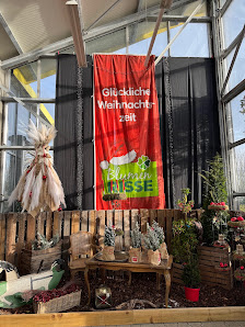 Blumen Risse Blumenmarkt Würselen