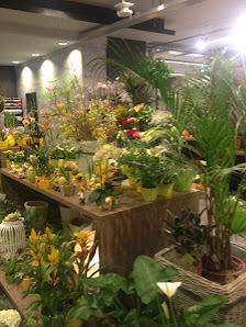 Fery Flowers