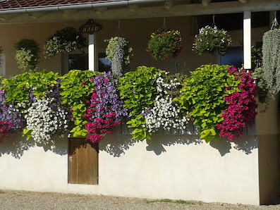 Gartenbau Haid