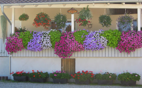 Gartenbau Haid