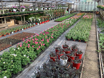 Blumen Bickel