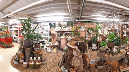Kaltenbach KG Gärtnerei Blumenfachgeschäft