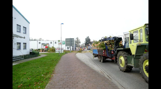 Kaltenbach KG Gärtnerei Blumenfachgeschäft