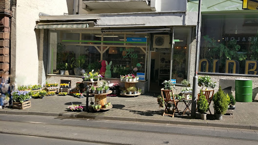 Parisa Bluete x Blumen Loos