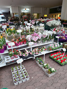 Oranje Blumen P. F. Overdevest