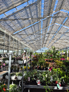 Garten Graaf GmbH