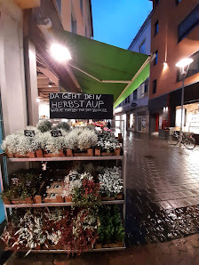 BLUME2000 Mainz Schusterstrasse
