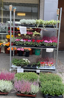 Blumenhaus Arshad