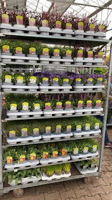 Botanika GmbH Gartencenter Garten- und Landschaftsbau