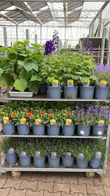 Botanika GmbH Gartencenter Garten- und Landschaftsbau