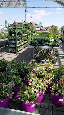 BELLANDRIS Gartencenter Höppener Das BlumenParadies GmbH & Co. KG