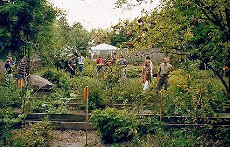 Ahornblatt