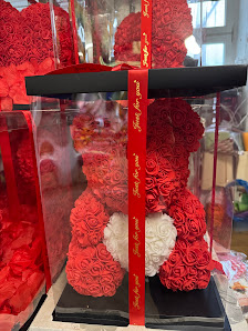 N&M Blumen-Pflanzen