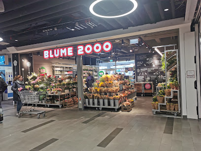 BLUME2000 im Kaufland Mainz-Bretzenheim