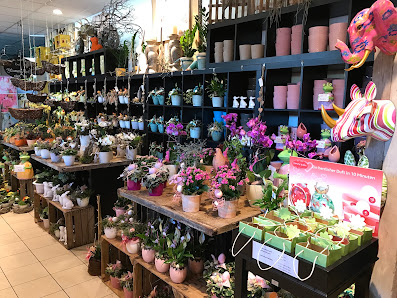 Moll Gärtnerei & Blumen