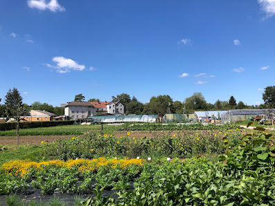 Gärtnerei Fuldaaue