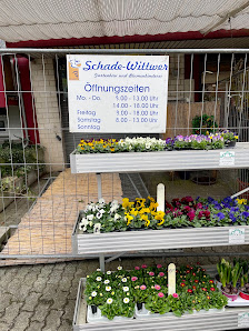 Schade und Wittwer