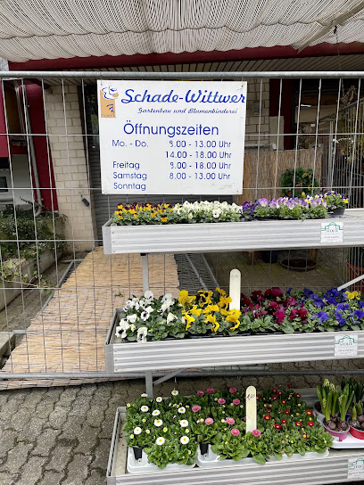 Schade und Wittwer