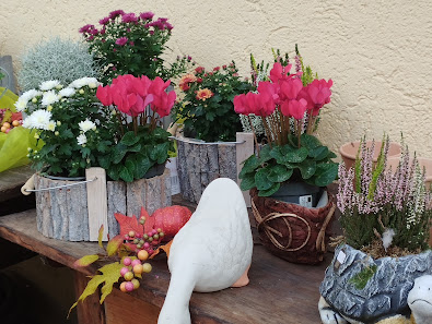 Blumenshop Birgit König