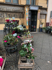 Magnolia Blumen und Boutique