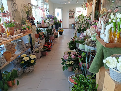 Blumenstube Kerl