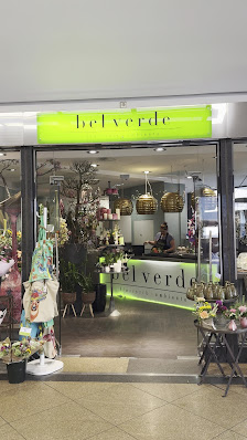 bel verde floristik ambiente Kassel