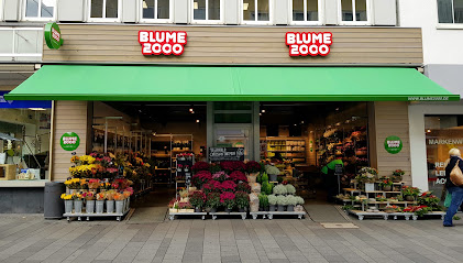 BLUME2000 Kassel Obere Königsstr.