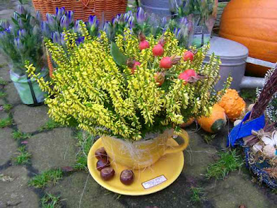 Blumenhaus Siegmann