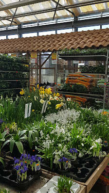 Gartencenter Meckelburg