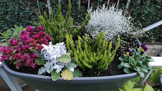 Garten-Center Ziegener