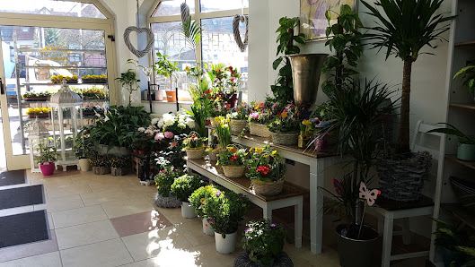 Hallo Blumenfreunde