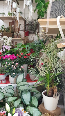 Blumenhaus Frühling Kassel