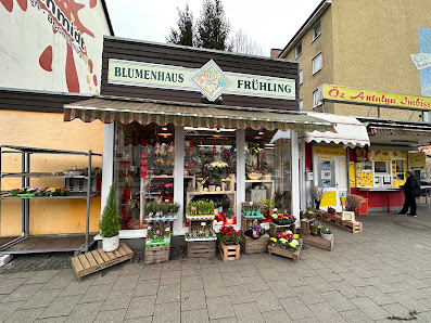 Blumenhaus Frühling Kassel