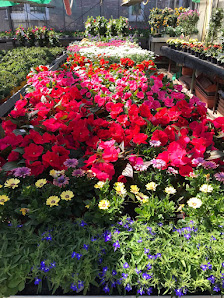 Blumenhaus Friedrich