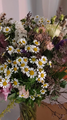 Hafen Flowers