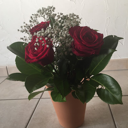 Blumen-Hoffmann