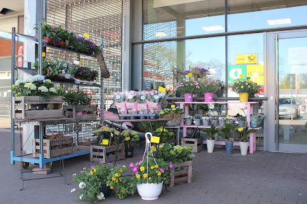Blumenatelier Lübeck