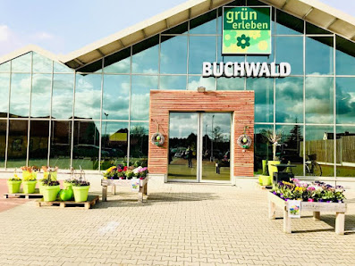 Buchwald grün erleben Stockelsdorf