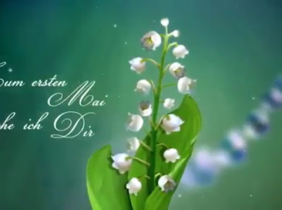 Kimm - Natur mit Fantasie