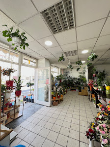 Cao Blumen