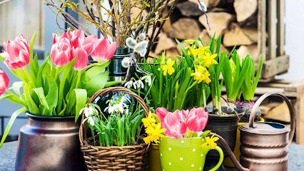 Blumen Femers GmbH & Co. KG