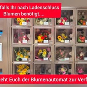 Blumen Gerarts