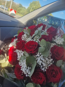 Blumen Rosenkönig