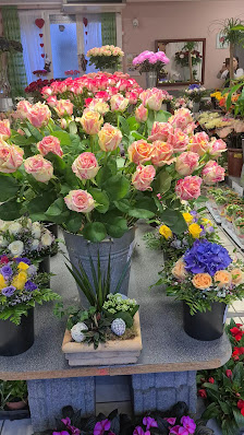 Blumen Rosenkönig