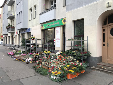 Sonnenblumen