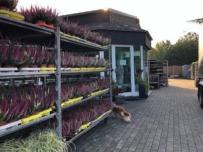 Blumen Brammen