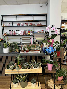 Bloom Queen - Blumen & Lebensmittel, Schillerpromenade 5