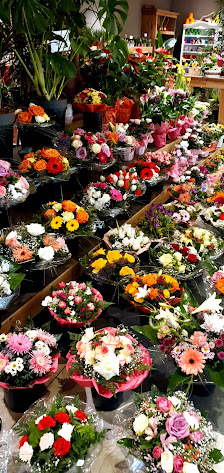 Alice Im Blumenland Blumen